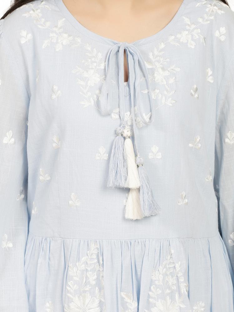 Allover embroidered dress